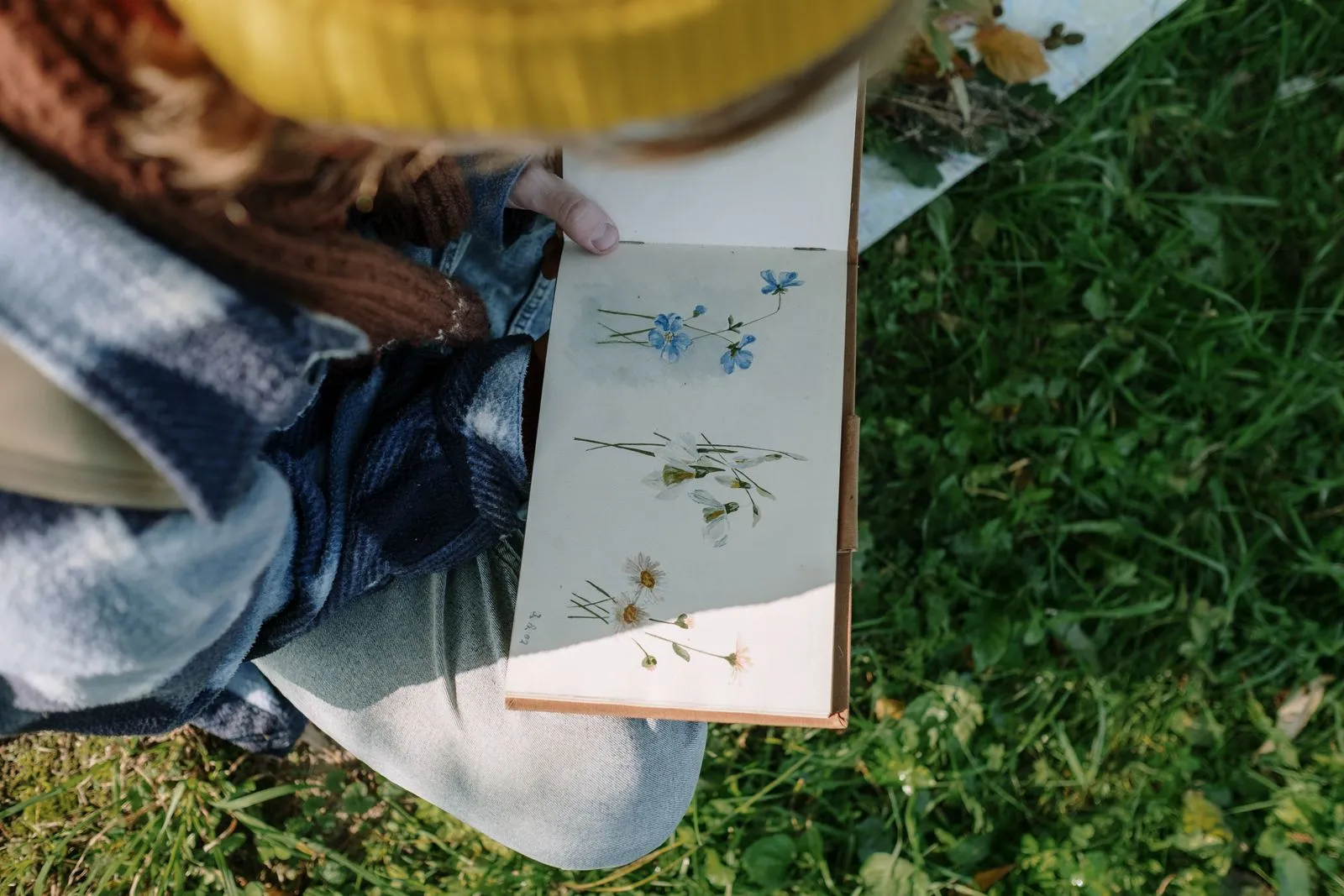 Choosing Wildlife Artwork for Educational Materials